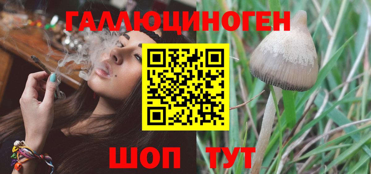 Псилоцибиновые грибы GOLDEN TEACHER  Вход с VPN  Сергиев Посад 